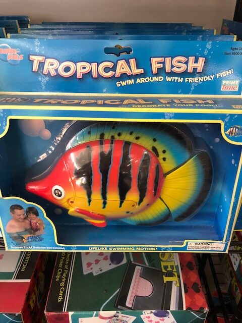 Tropical Fish