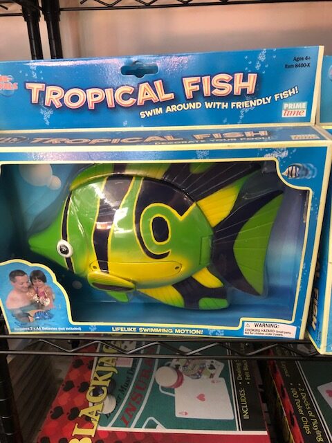 Tropical Fish