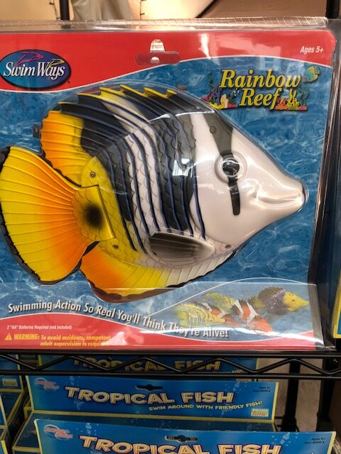 Tropical Fish