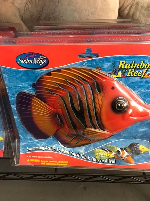 Tropical Fish