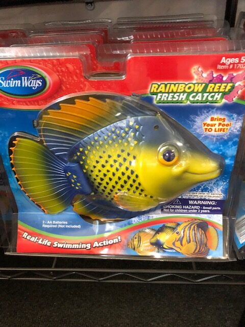 Tropical Fish