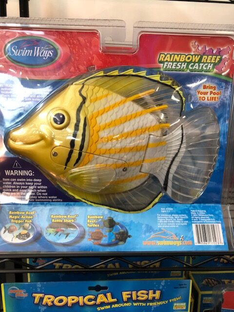 Tropical Fish