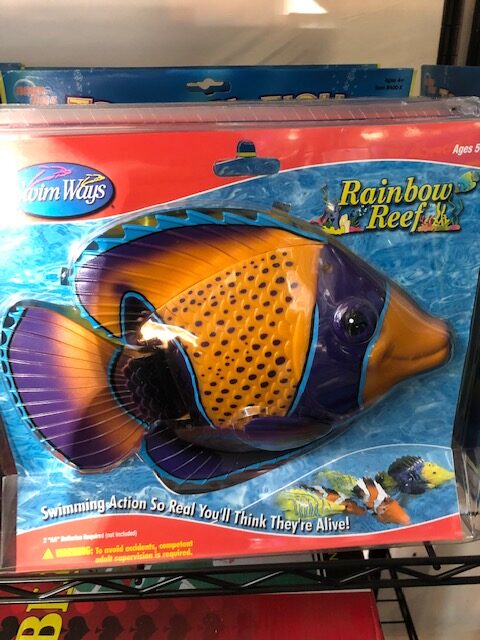 Tropical Fish