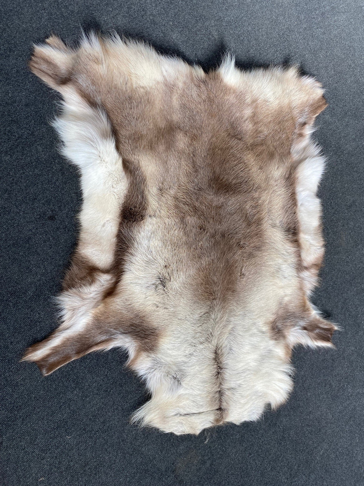 Reindeer Skin