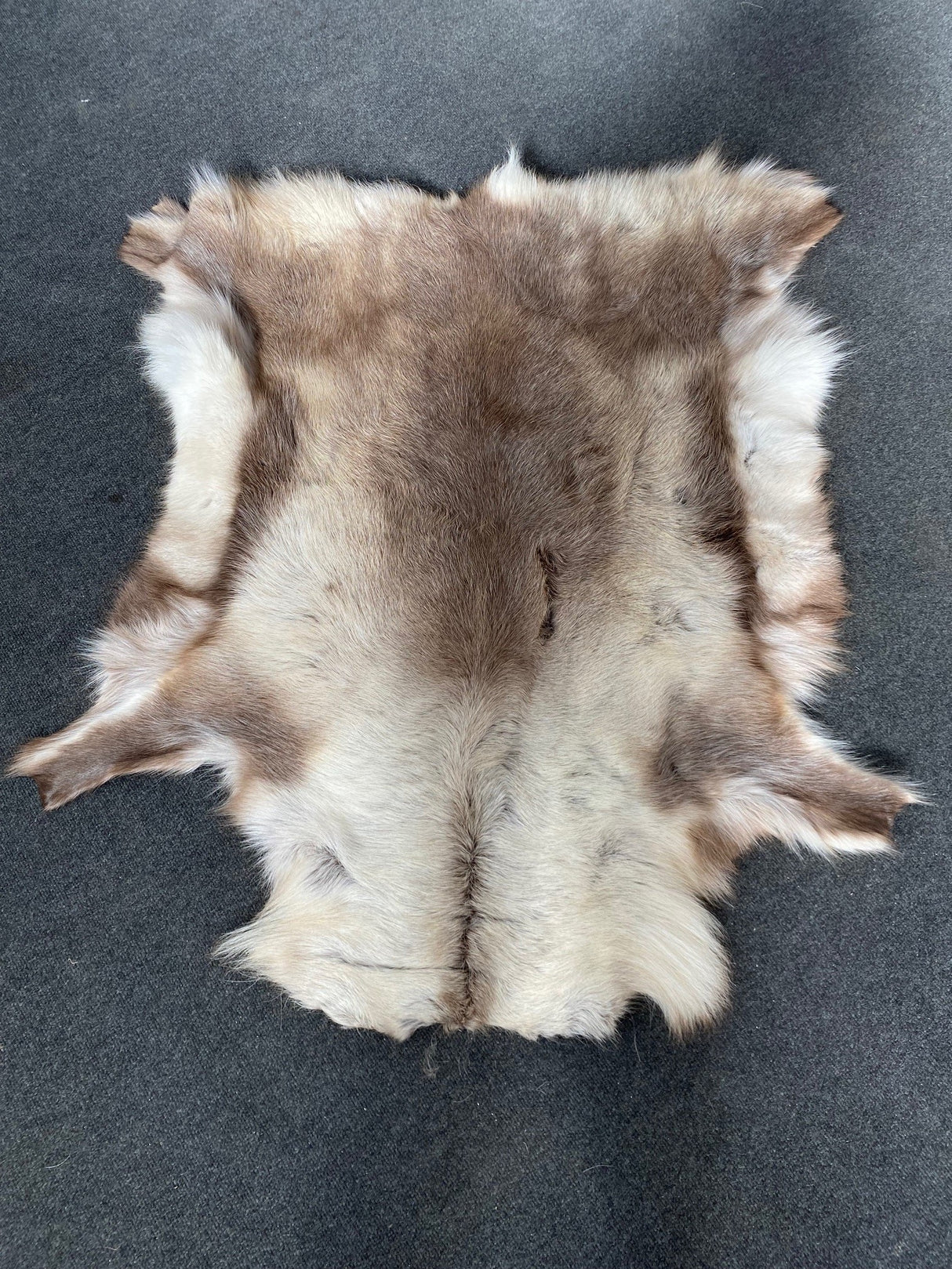 Reindeer Skin