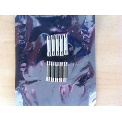 Global Accessory Fuse 10A (pkg of 10)